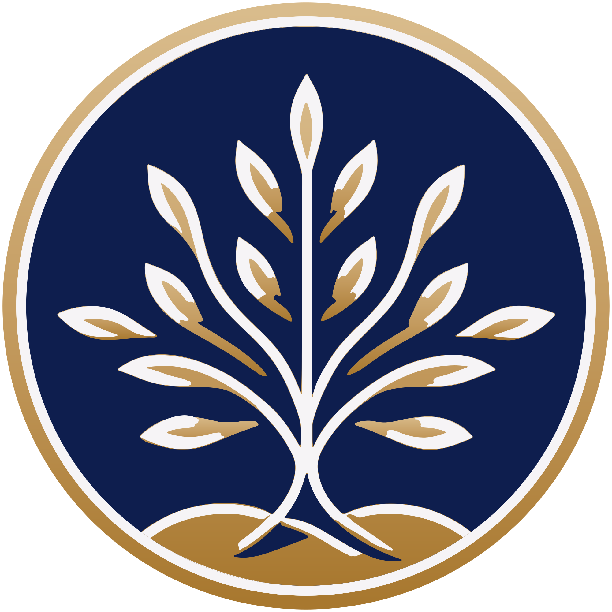 The Timeless Frames Foundation